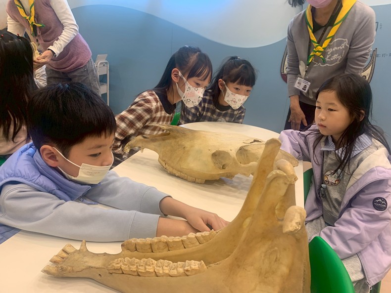 幼兒園：馬到成功話馬年(2/4)-圖片2