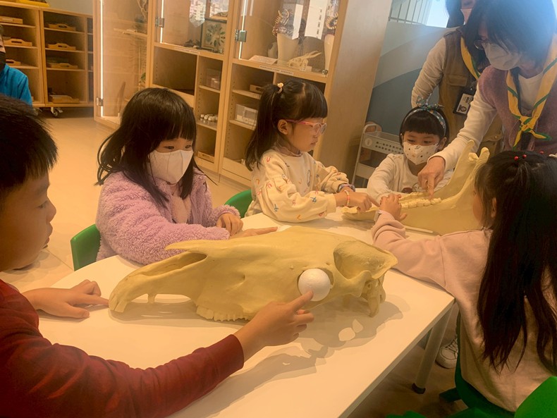 幼兒園：馬到成功話馬年(2/4)-圖片3