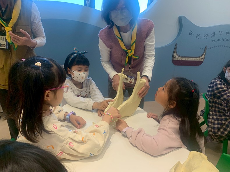 幼兒園：馬到成功話馬年(2/4)-圖片4