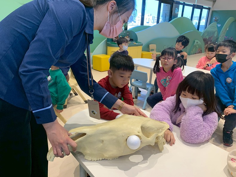 幼兒園：馬到成功話馬年(2/4)-圖片5