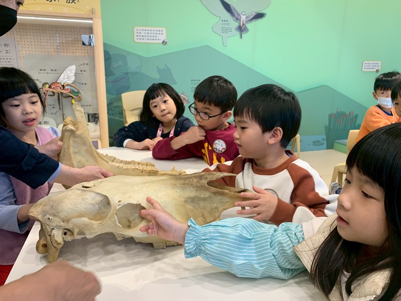 幼兒園：馬到成功話馬年(2/4)-圖片6