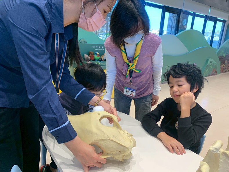 幼兒園：馬到成功話馬年(2/4)-圖片8