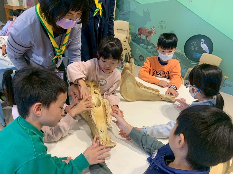 幼兒園：馬到成功話馬年(2/4)-圖片9