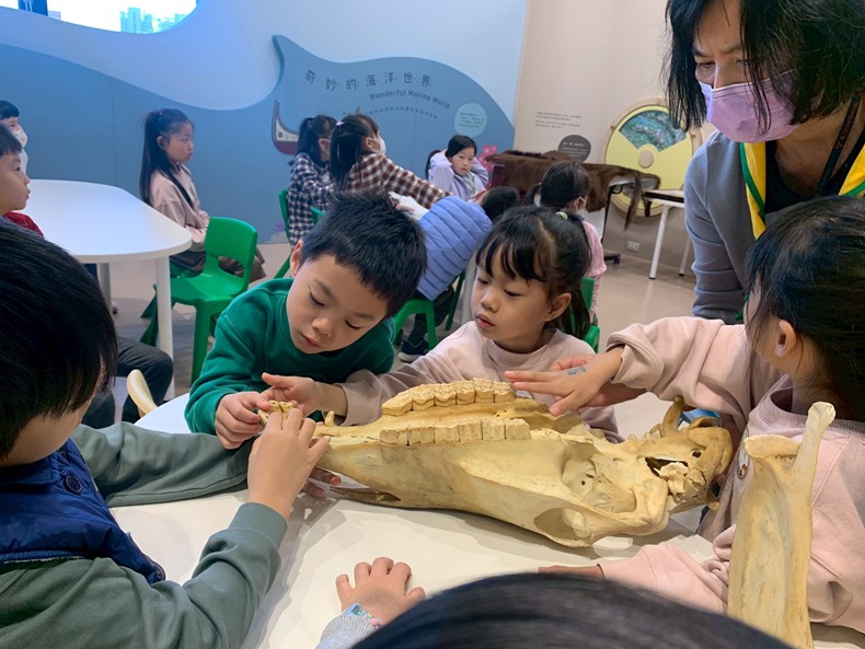 幼兒園：馬到成功話馬年(2/4)-圖片10