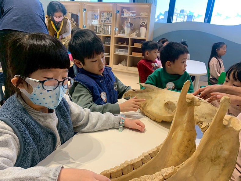 幼兒園：馬到成功話馬年(2/4)-圖片11