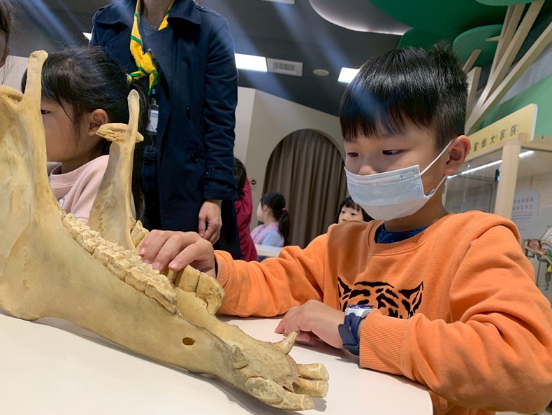 幼兒園：馬到成功話馬年(2/4)-圖片12