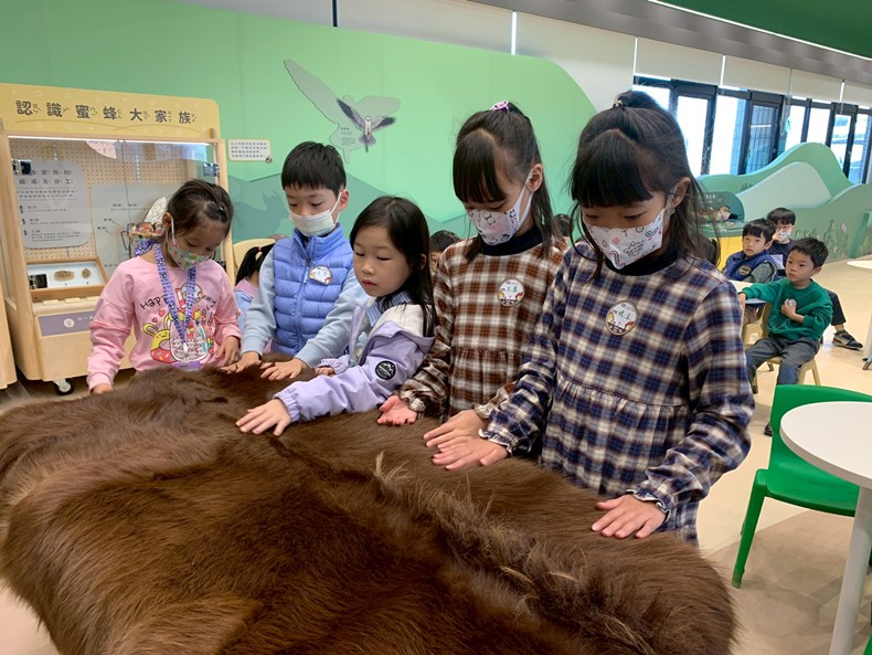 幼兒園：馬到成功話馬年(2/4)-圖片15