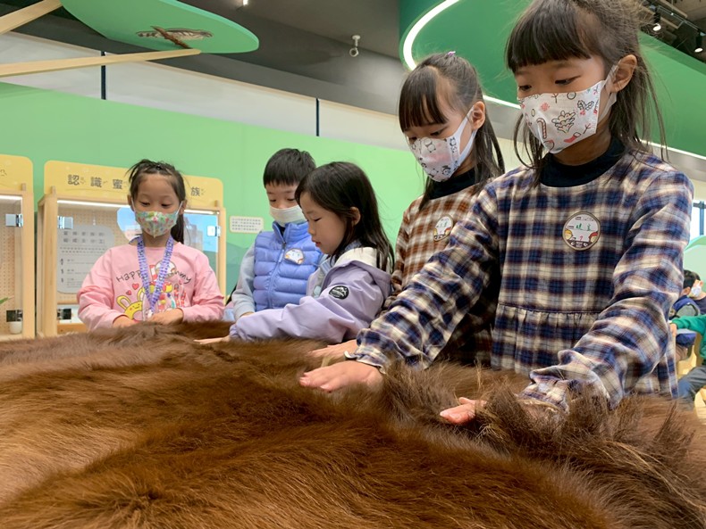 幼兒園：馬到成功話馬年(2/4)-圖片16