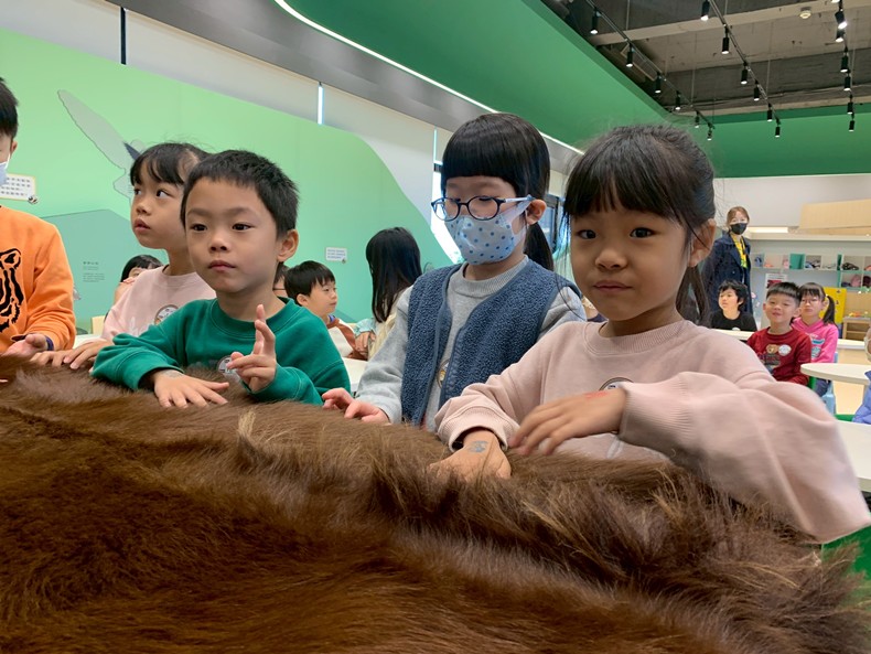 幼兒園：馬到成功話馬年(2/4)-圖片18