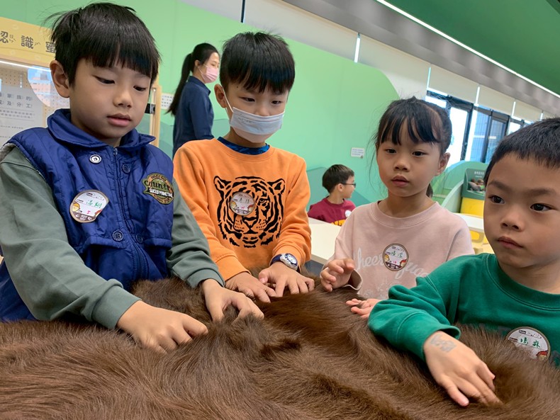 幼兒園：馬到成功話馬年(2/4)-圖片19