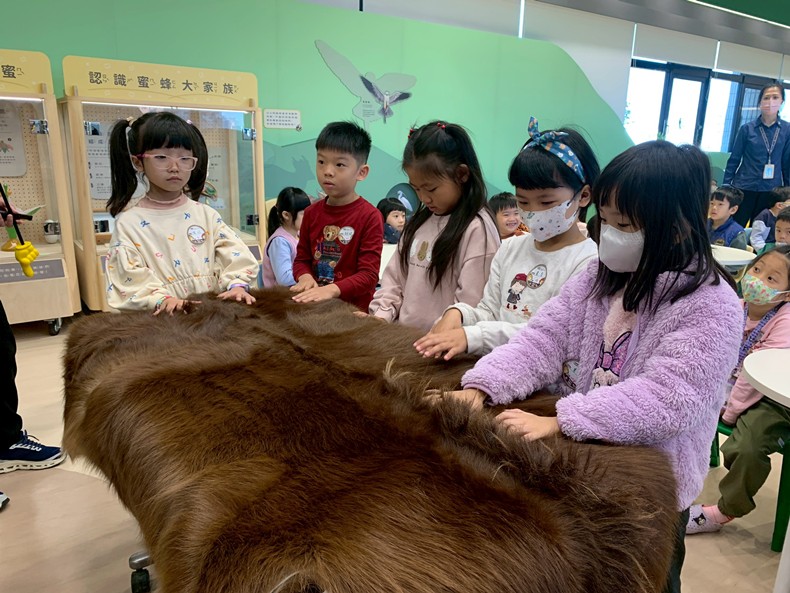 幼兒園：馬到成功話馬年(2/4)-圖片20