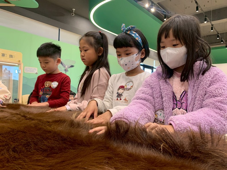 幼兒園：馬到成功話馬年(2/4)-圖片21