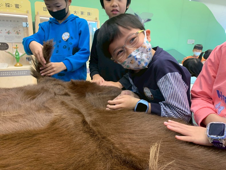 幼兒園：馬到成功話馬年(2/4)-圖片23