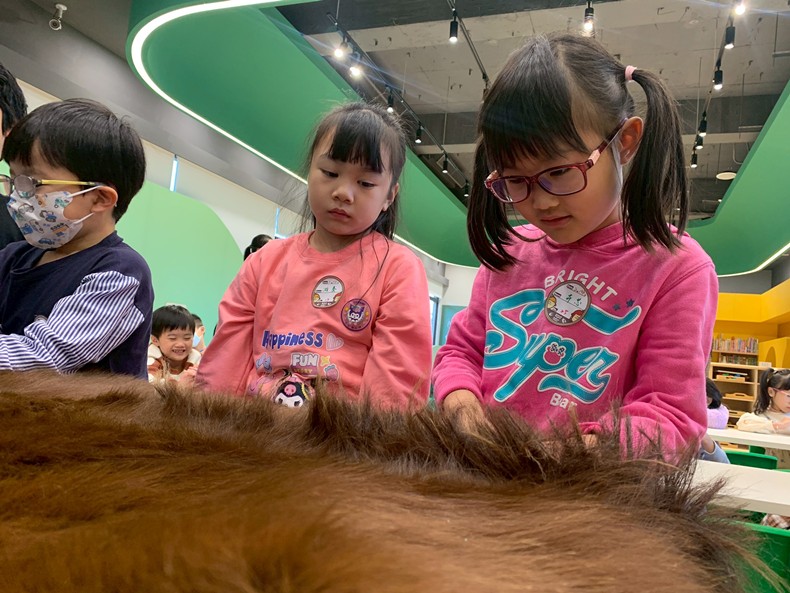 幼兒園：馬到成功話馬年(2/4)-圖片26