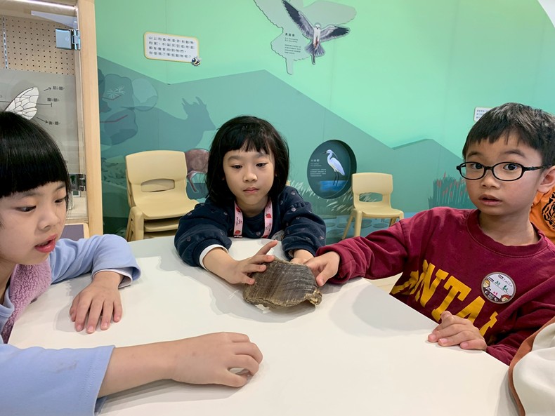 幼兒園：馬到成功話馬年(2/4)-圖片33