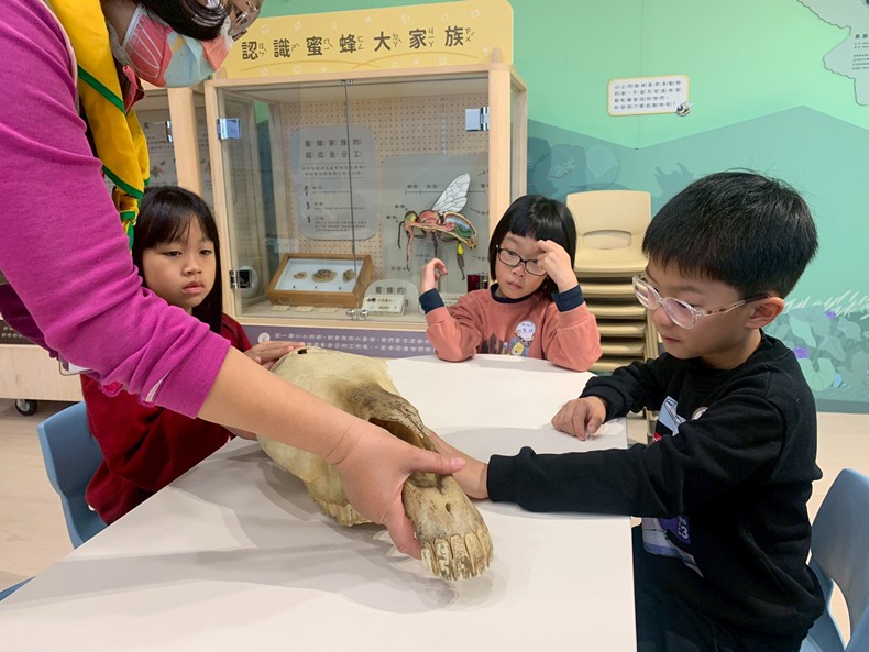 幼兒園：馬到成功話馬年(2/6)-圖片1