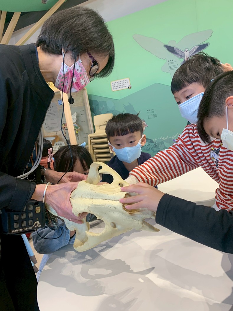 幼兒園：馬到成功話馬年(2/6)-圖片5