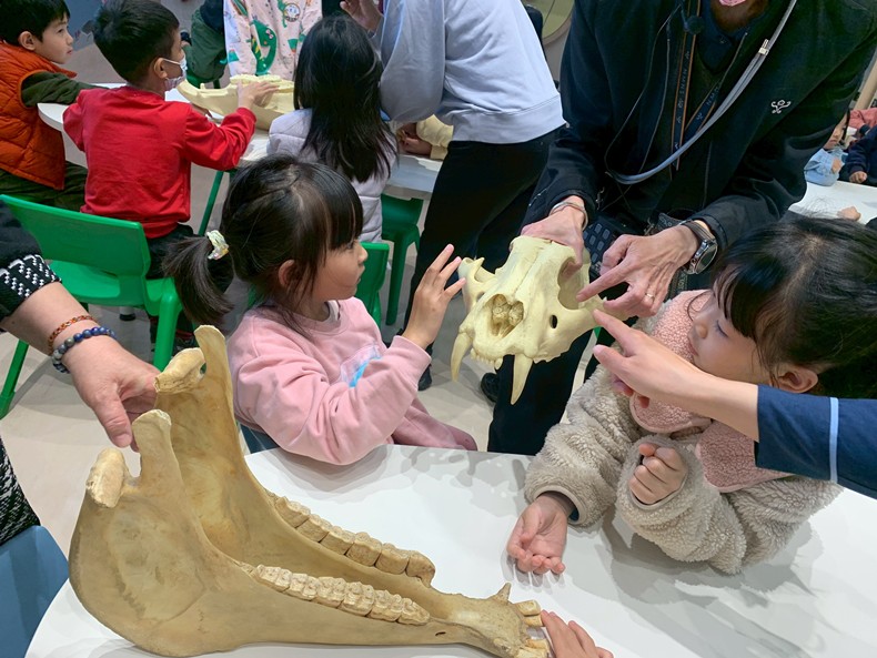 幼兒園：馬到成功話馬年(2/6)-圖片6