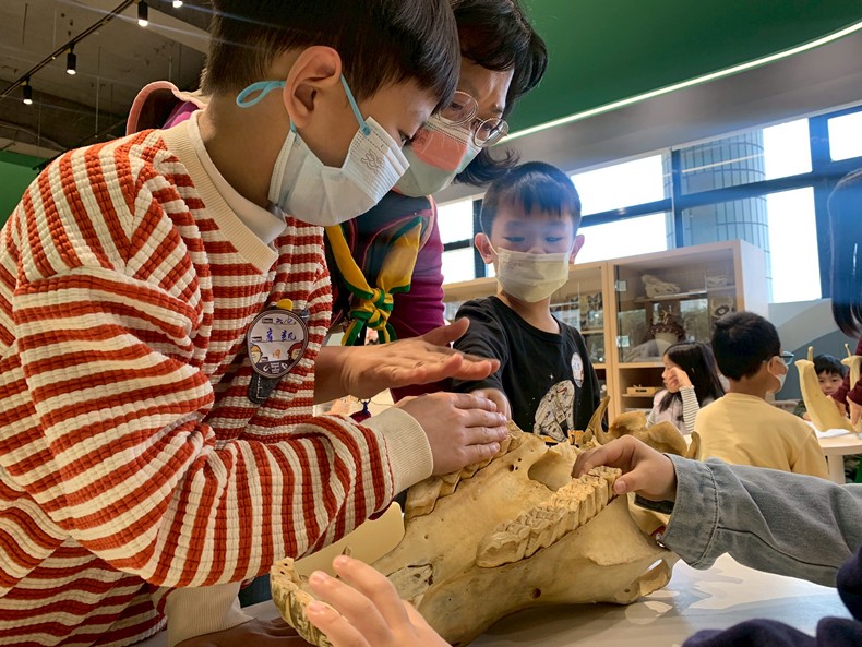 幼兒園：馬到成功話馬年(2/6)-圖片7