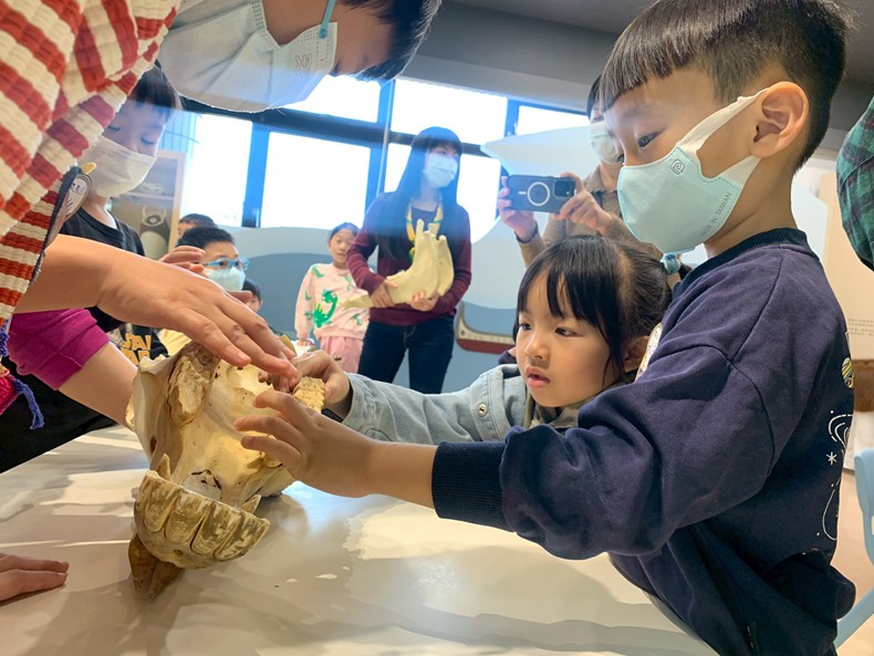 幼兒園：馬到成功話馬年(2/6)-圖片8