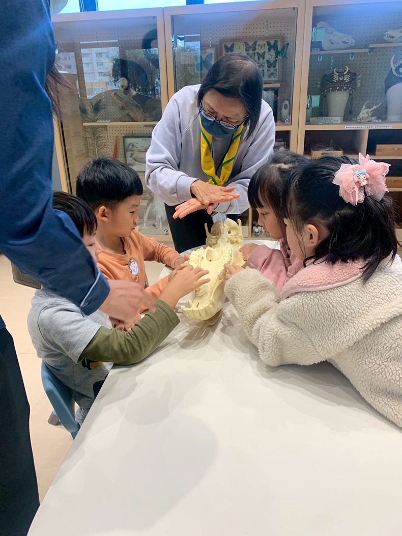 幼兒園：馬到成功話馬年(2/6)-圖片10