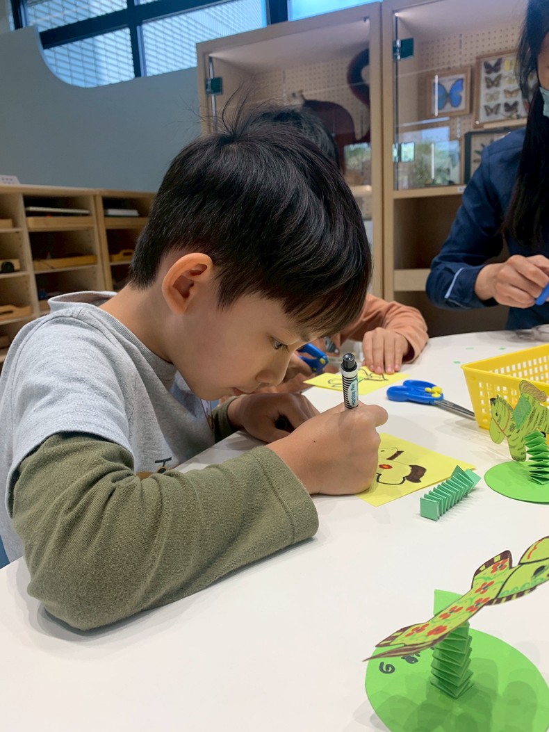 幼兒園：馬到成功話馬年(2/6)-圖片13