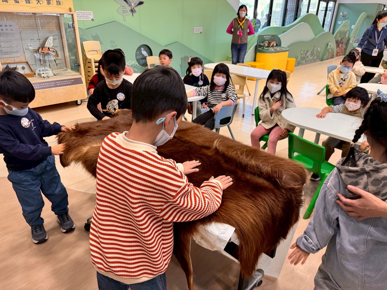 幼兒園：馬到成功話馬年(2/6)-圖片59