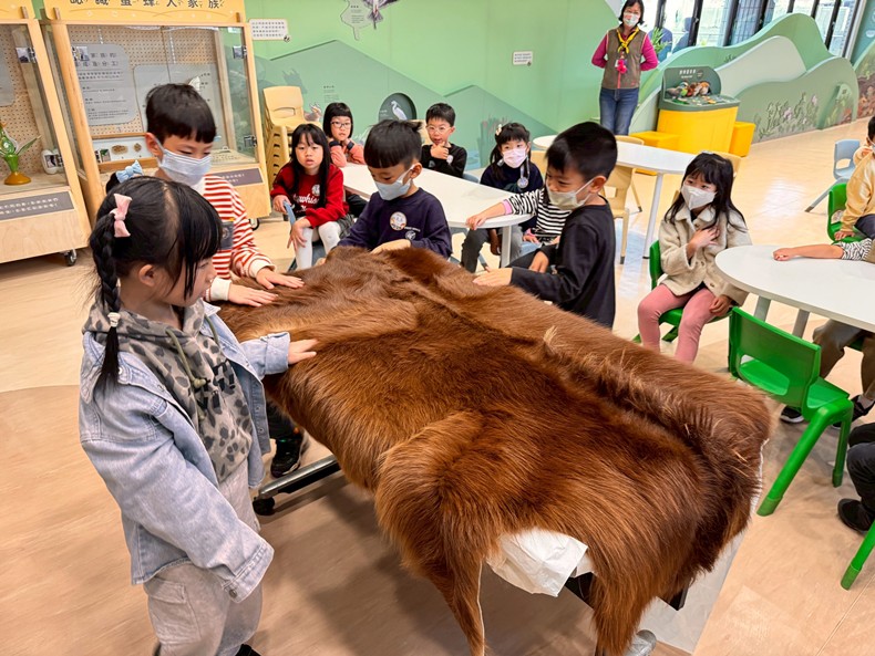 幼兒園：馬到成功話馬年(2/6)-圖片60