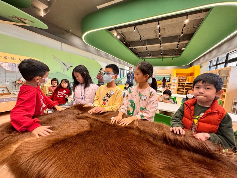 幼兒園：馬到成功話馬年(2/6)-圖片62