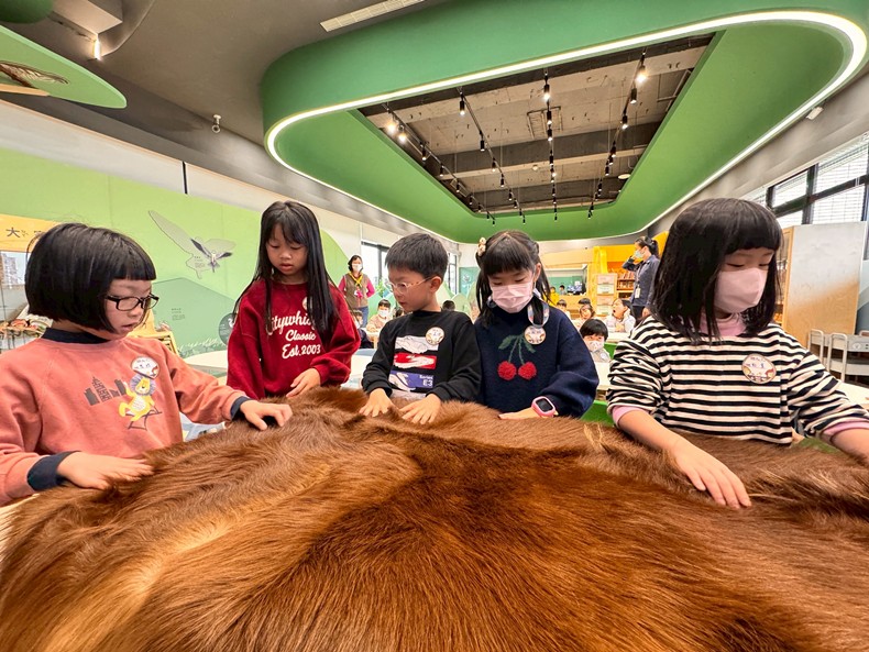 幼兒園：馬到成功話馬年(2/6)-圖片64