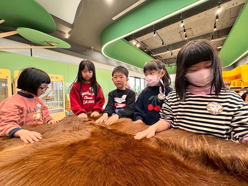 幼兒園：馬到成功話馬年(2/6)-圖片66