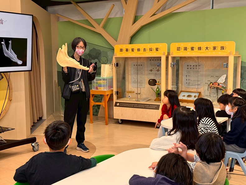 幼兒園：馬到成功話馬年(2/6)-圖片69