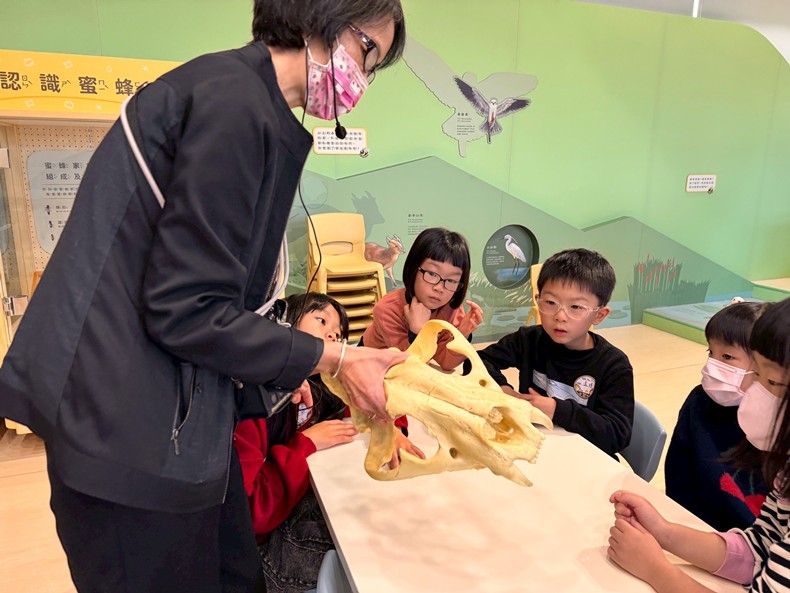 幼兒園：馬到成功話馬年(2/6)-圖片71