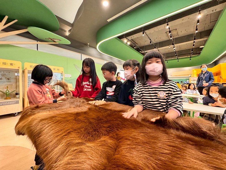 幼兒園：馬到成功話馬年(2/6)-圖片72