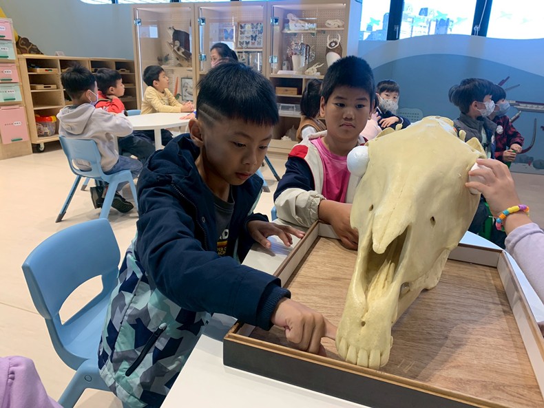 馬到成功話馬年(1/28)-圖片2