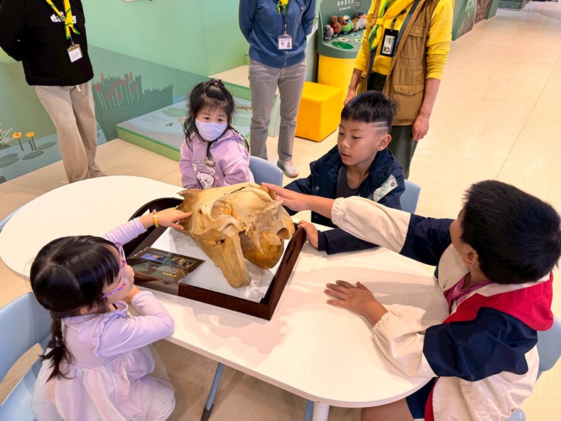 馬到成功話馬年(1/28)-圖片28