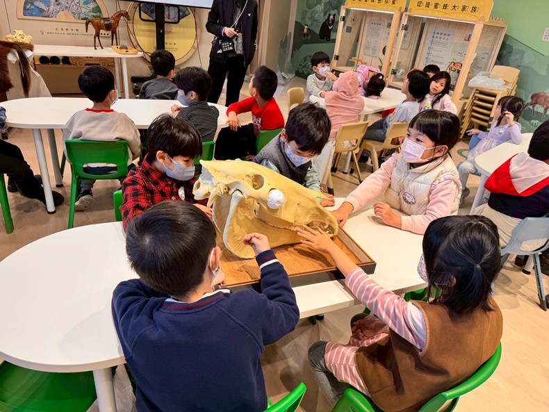 馬到成功話馬年(1/28)-圖片30