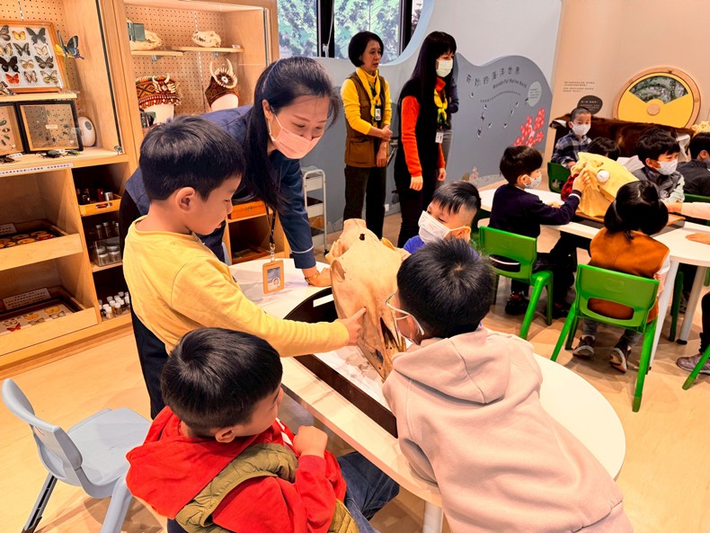 馬到成功話馬年(1/28)-圖片31