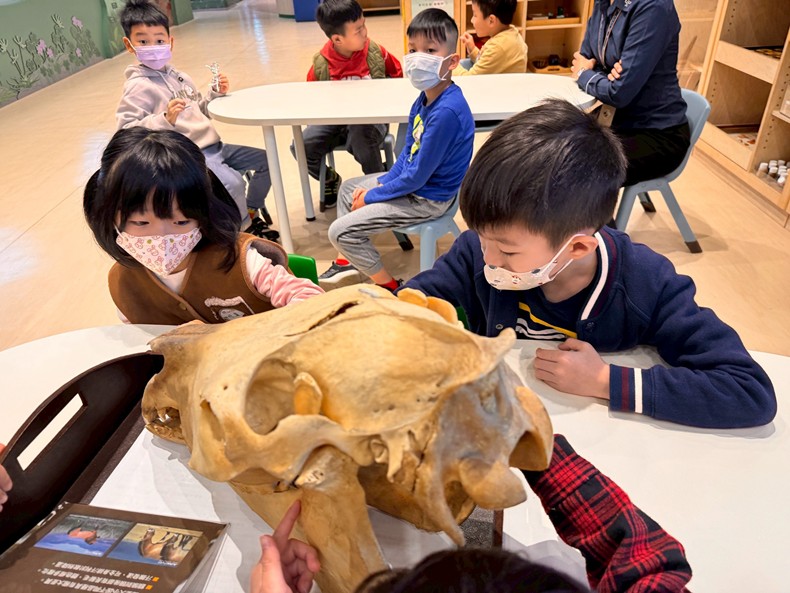 馬到成功話馬年(1/28)-圖片33