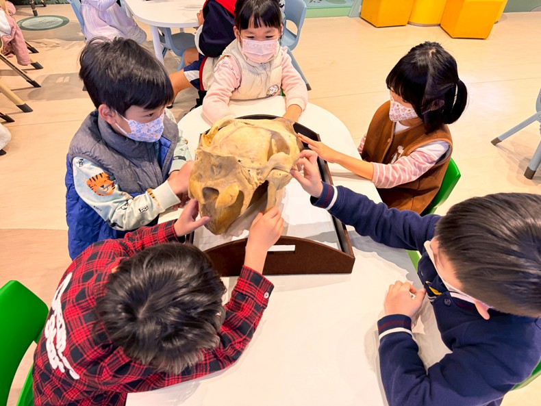 馬到成功話馬年(1/28)-圖片35