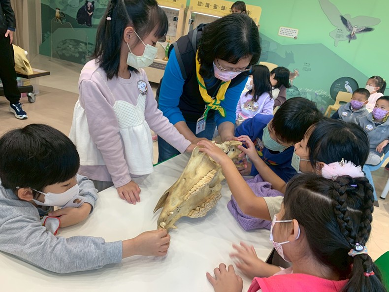 馬到成功話馬年(1/30)-圖片7