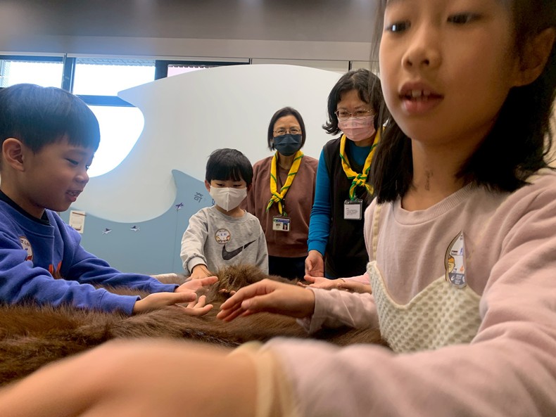 馬到成功話馬年(1/30)-圖片19