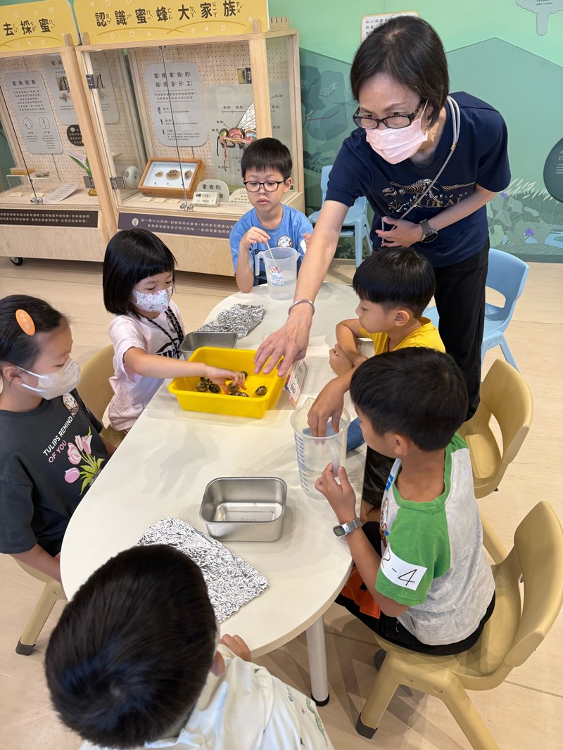 幼兒園：餐桌上的科學-貝類篇(7/10)-圖片3