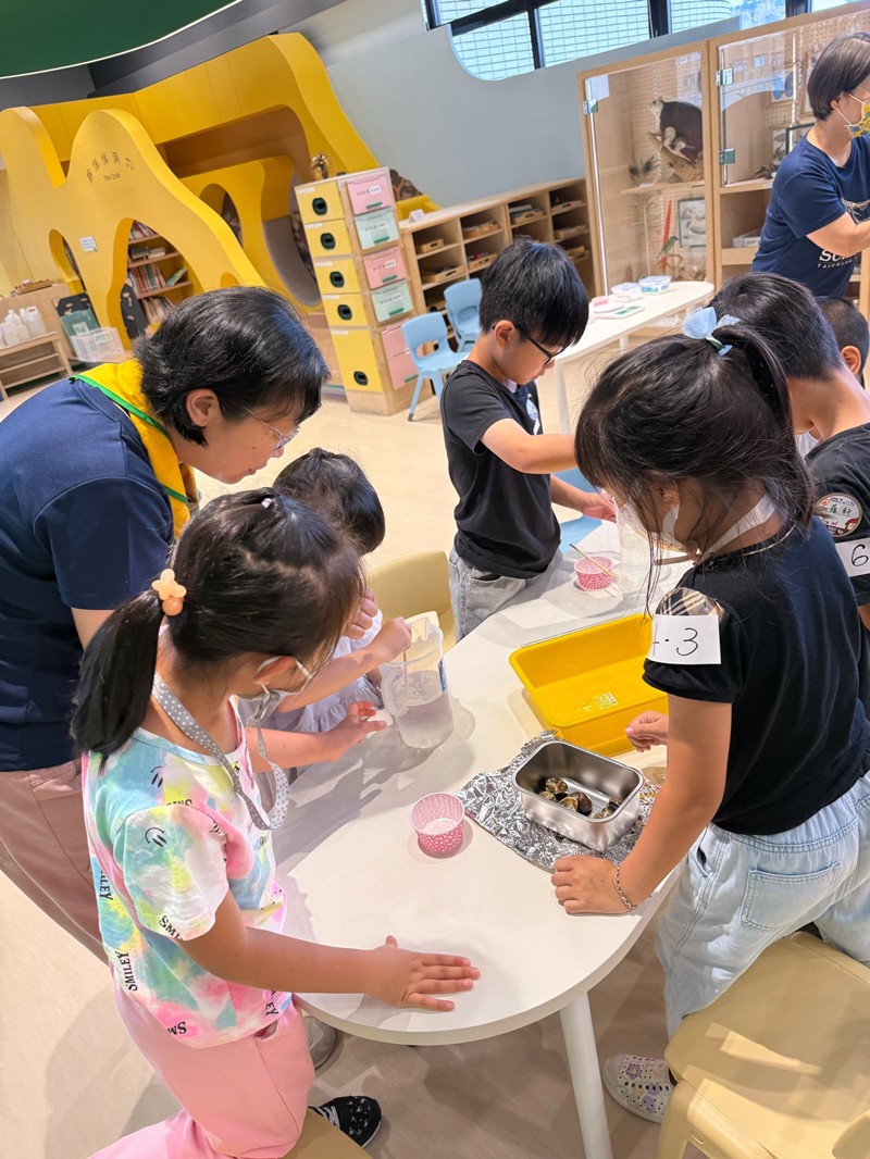 幼兒園：餐桌上的科學-貝類篇(7/10)-圖片4