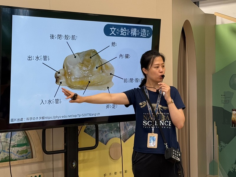 幼兒園：餐桌上的科學-貝類篇(7/10)-圖片6