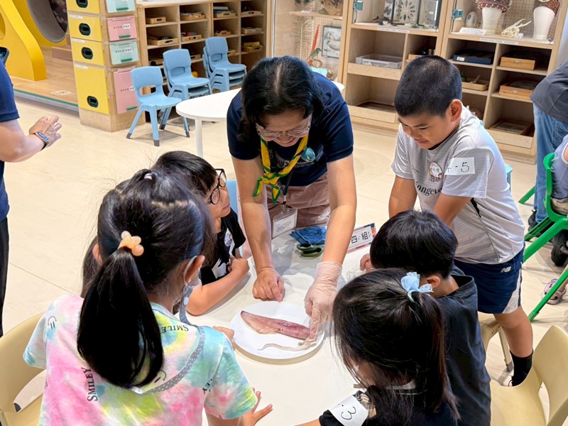幼兒園：餐桌上的科學-貝類篇(7/10)-圖片7