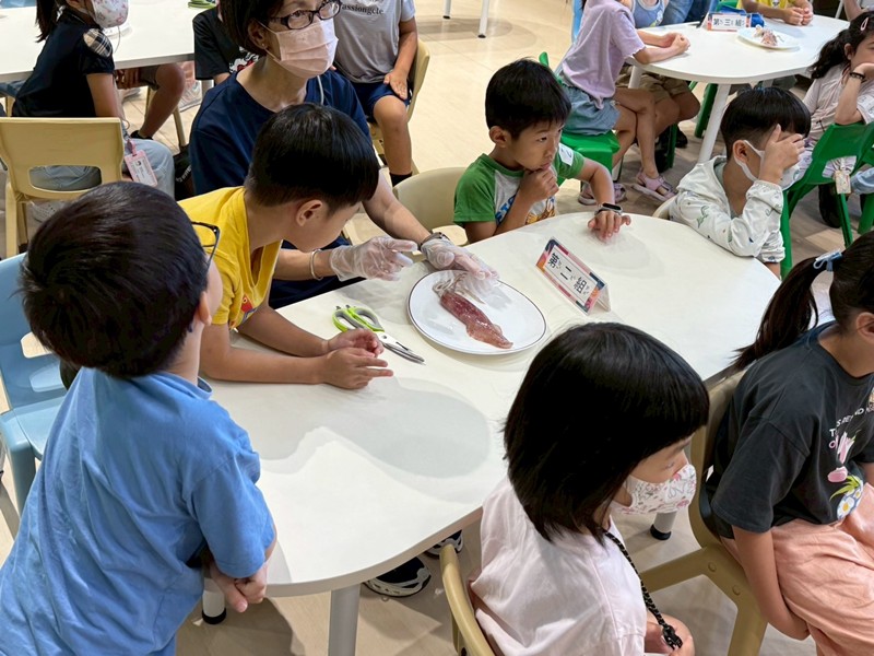 幼兒園：餐桌上的科學-貝類篇(7/10)-圖片8