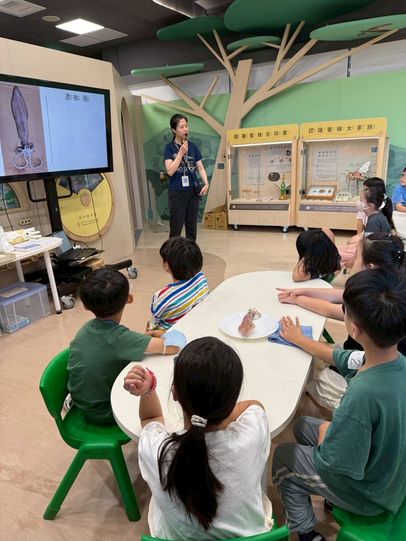 幼兒園：餐桌上的科學-貝類篇(7/10)-圖片9