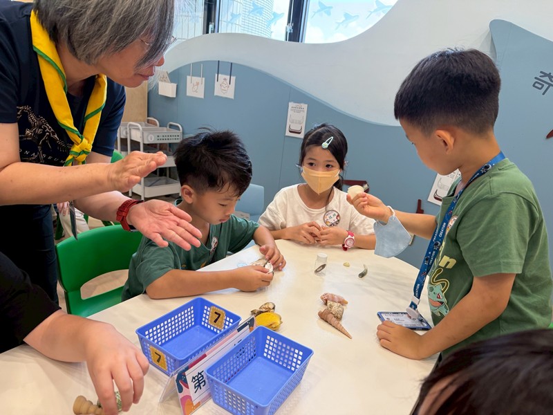 幼兒園：餐桌上的科學-貝類篇(7/10)-圖片14
