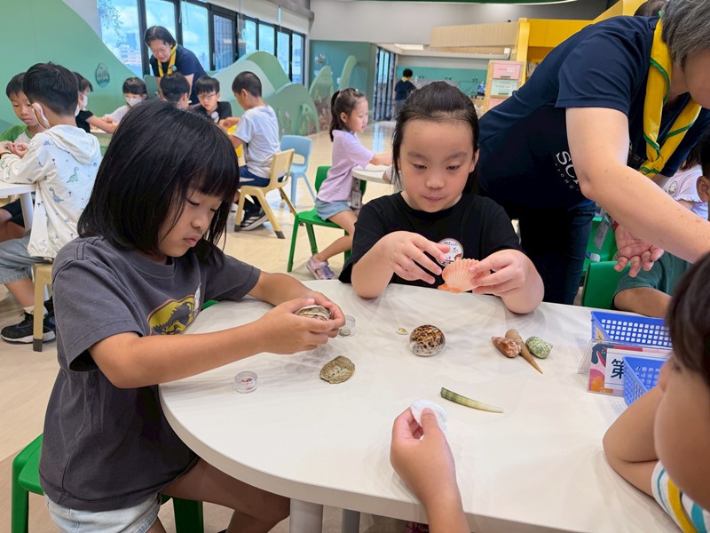 幼兒園：餐桌上的科學-貝類篇(7/10)-圖片15